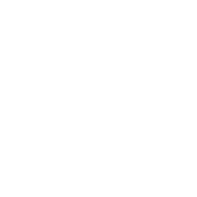 Brick Cleaning
